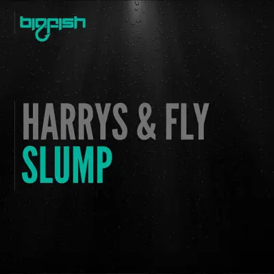 Listen to Slump - Single by Harrys & Fly