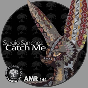 Catch Me - Single