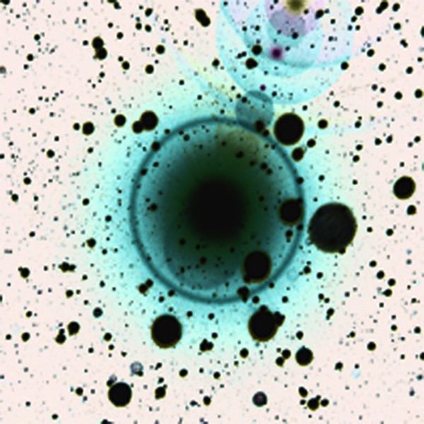 Zero 7 - Red, Blue and Green