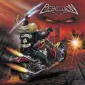 Born A Rebel