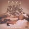 Brown Sugar (feat. Lil Wayne) - Ray J lyrics