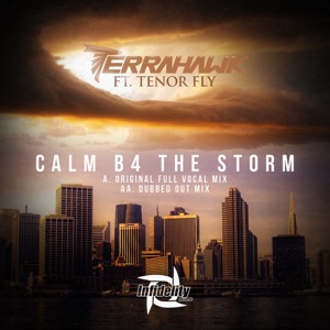 Calm B4 the Storm (feat. Tenor Fly) - Single