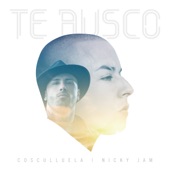 Te Busco artwork