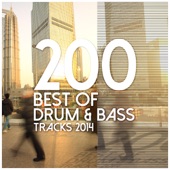 200 Best of Drum & Bass Tracks 2014 artwork