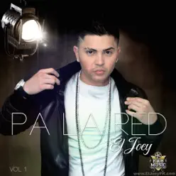 Pa La Red Vol 1 - El Joey