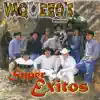 GRACIAS PORQUE VOLVISTE