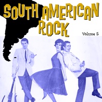 South American Rock Vol. 5 - Various Artists