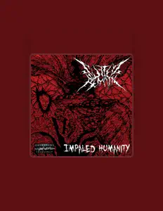 收听 Suffer Remain、观看音乐视频、阅读小传、查看巡演日期等 ！