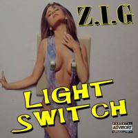 Light Switch - Single - Zig