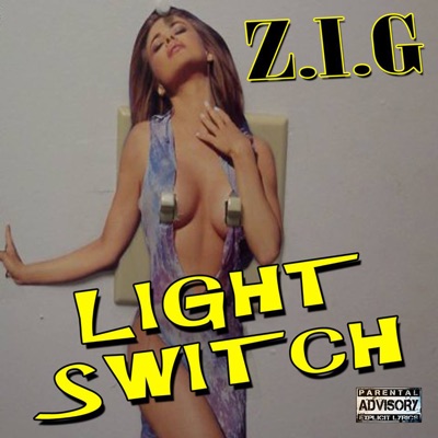 Light Switch - Single