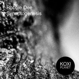 Synaptogenesis