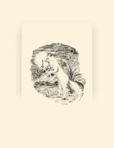 Escucha a Rima Kato, mira vídeos musicales, lee la biografía, consulta fechas de giras y mucho más.