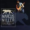 Rampage (Live) [feat. Kenny Garrett] - Marcus Miller, Michael Stewart & Bernhard Wright