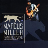 Panther (Live) [feat. Kenny Garrett] artwork