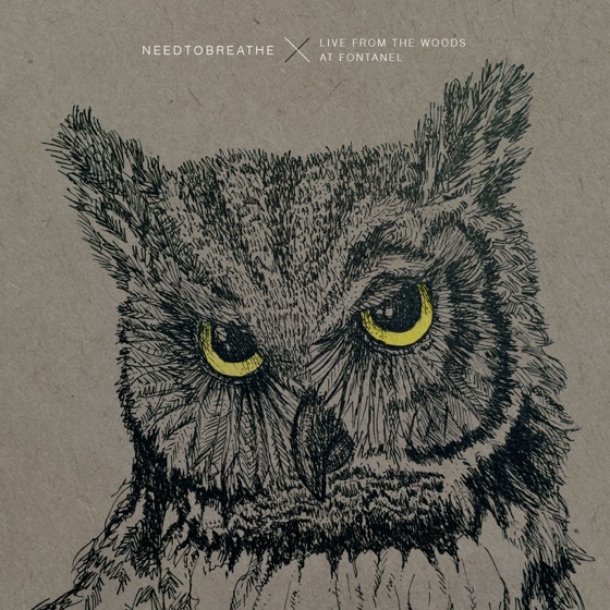 Cover artwork for Brother (Live From the Woods)