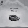 What's Missing - EP