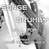 Hill Top Zone (from Sonic the Hedgehog 2) - Single