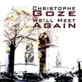We'll Meet Again
