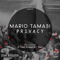 Privacy (Teo Ermotti Remix) - Mario Tamasi lyrics