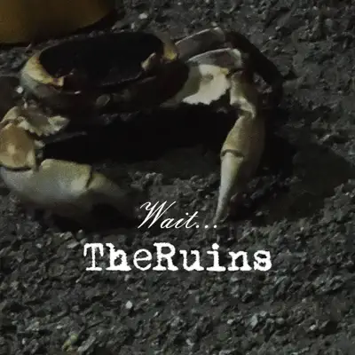 Wait... - Single - Ruins (Aus)