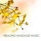 Healing Massage Music - Healing Massage Music Masters lyrics