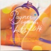 Payner Summer Hits 2014