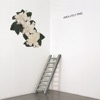 Absolutely Free - My Dim Age