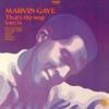 That's the Way Love Is ジャケット写真