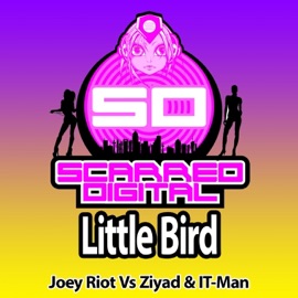 Little Bird (Joey Riot vs. Ziyad vs. IT-Man) Joey Riot, Ziyad & It-Man