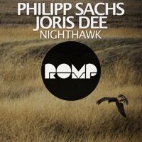 Nighthawk - Single - Philipp Sachs & Joris Dee