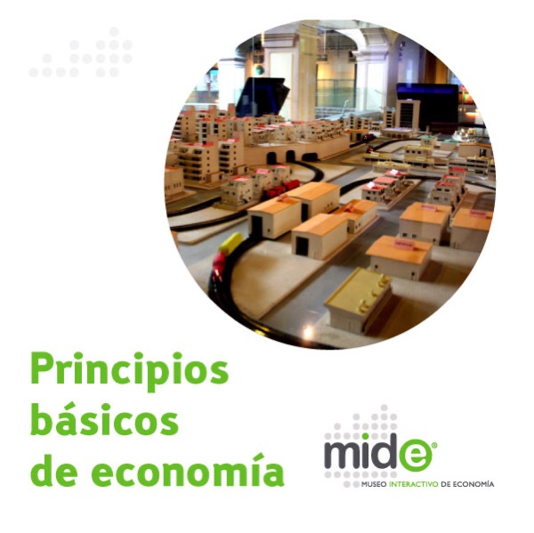 Principios básicos de economía cover