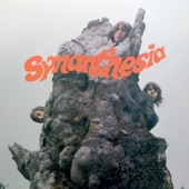 Synanthesia - Shifting Sands
