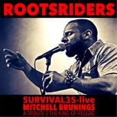 Survival35 (Live) artwork