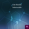 Indestructable - Single