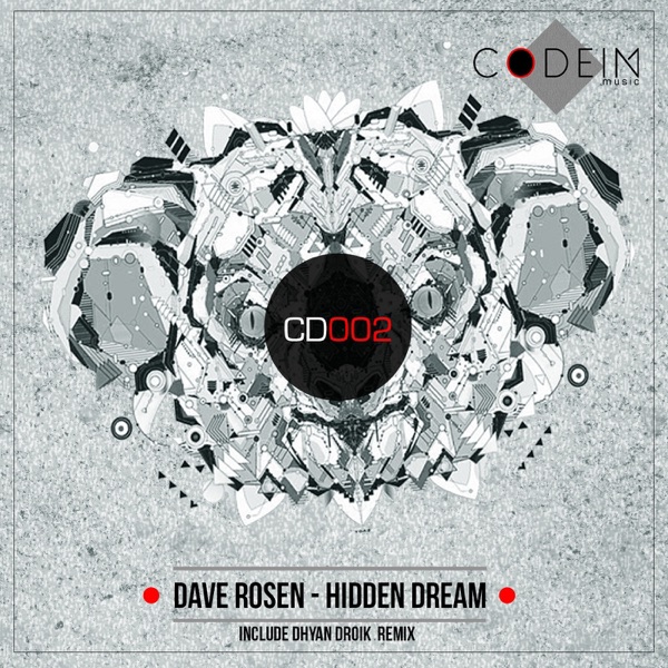 Hidden Dream - Single