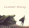 Laurent Voulzy - Le pouvoir des fleurs