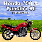 Honda 750 Motorcycle Pulls up from Left at a Medium Speed, Stops, Idles & Shuts Off artwork