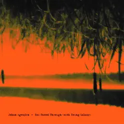 You Passed Through - Single - Young Galaxy You Passed Through - Single - Young Galaxy