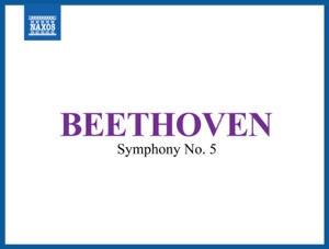 Beethoven: Symphony No. 5 in C Minor, Op. 67