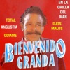 Bievenido Granda - Odiame
