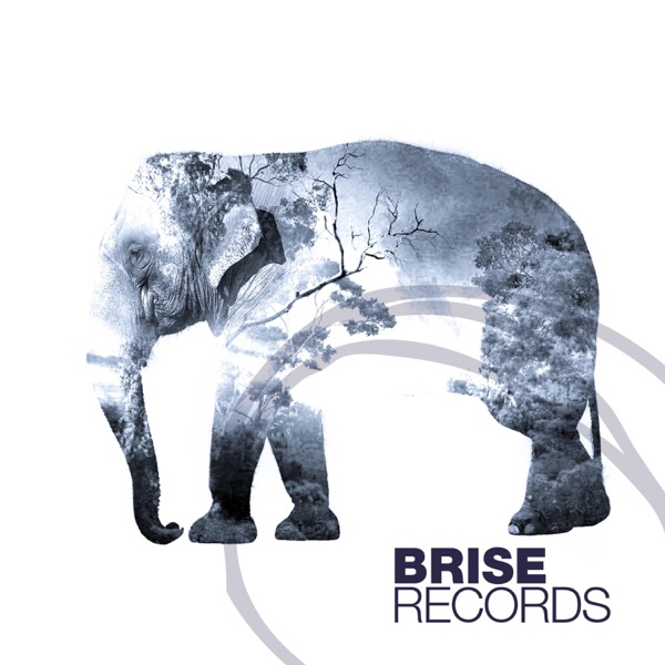 The Elephant - Single
