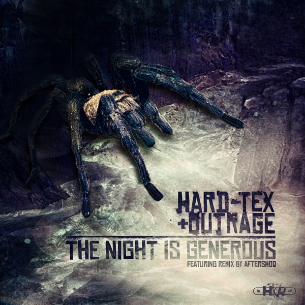 The Night Is Generous - Single