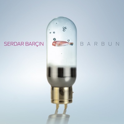 Barbun