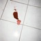 My Body (Eric Copeland Remix) - bottoms lyrics