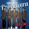 Conjunto Primavera - Donde Caigo