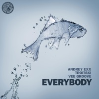 Everybody (Remixes) - Single - Andrey Exx, Troitski & Vee Groove