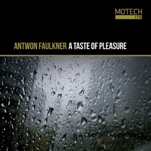 A Taste of Pleasure - Single