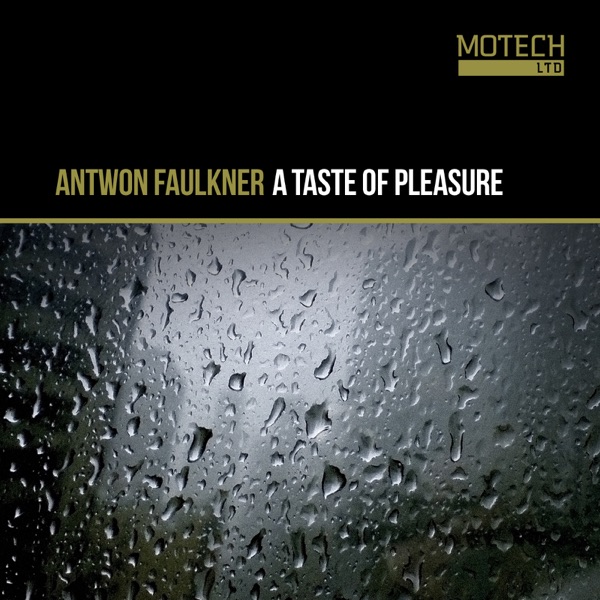 A Taste of Pleasure - Single
