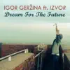 Igor Gerzina - Dream for the Future (feat. Izvor)