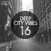 Deep City Vibes, Vol. 16, 2014